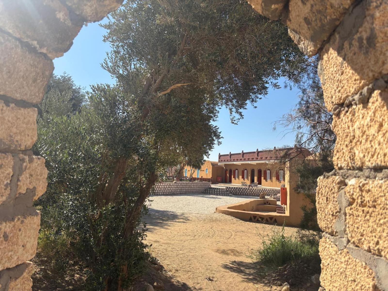Beir El Gabal Hotel Qasr Dakhl Extérieur photo